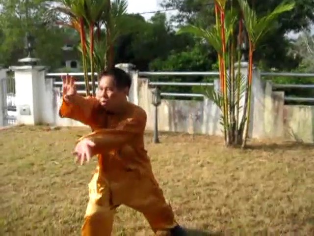 shaolin